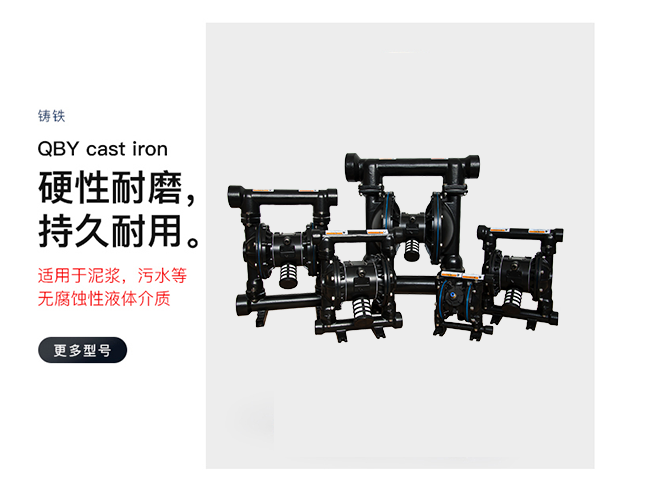 鑄鐵氣動(dòng)隔膜泵